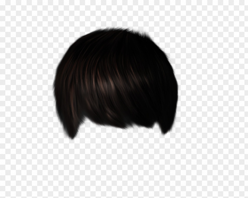 Hair Wig Hairstyle Capelli Bangs PNG