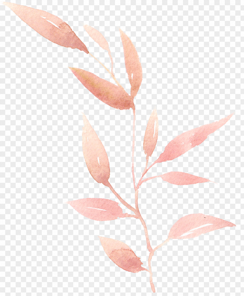 Hand-painted Watercolor Leaves Painting Leaf PNG