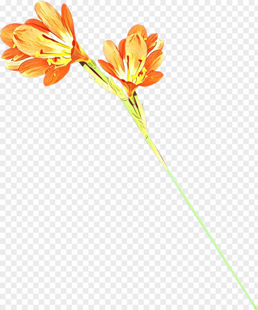 Painting Cut Flowers Plants Nature PNG