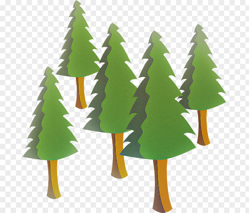 Plant Woody Christmas Tree PNG