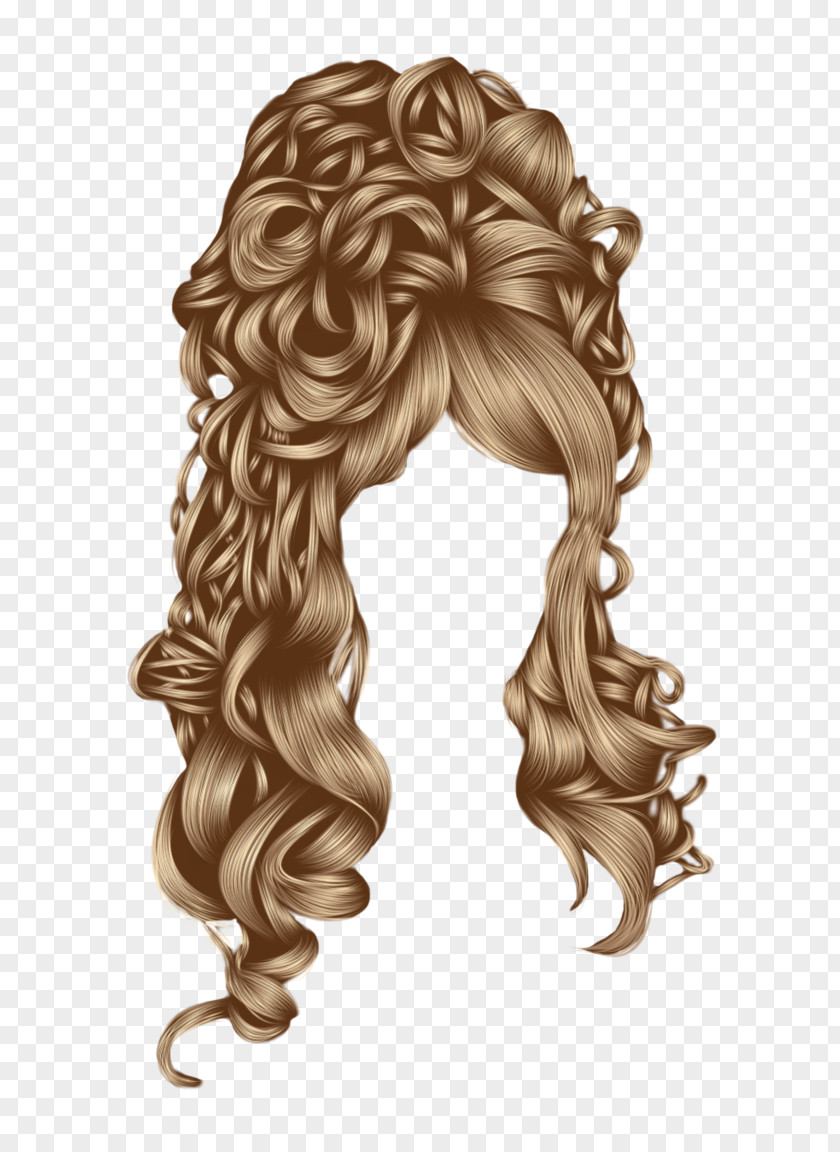 Women Hair Image PNG