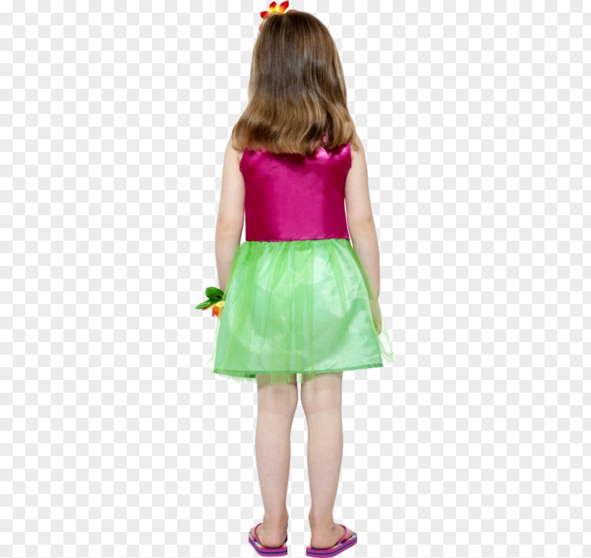 Dress Hawaii Costume Hula Grass Skirt PNG