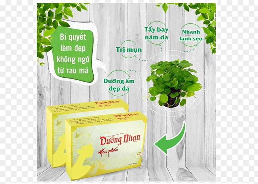 Hoa VÄƒn Propolis Joint Cosmetics Skin Hormone PNG