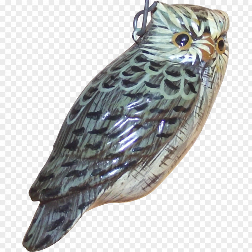 Owl Fauna Beak Feather Falcon PNG