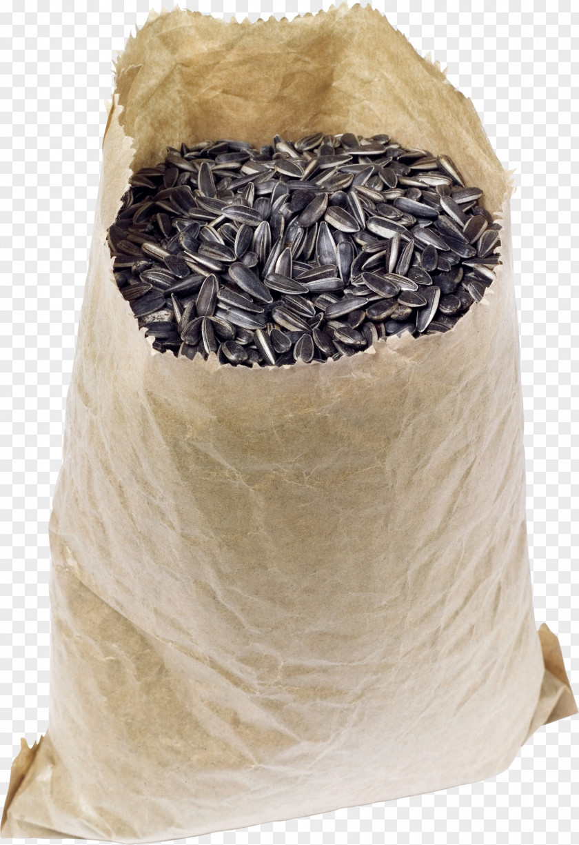 Sunflower Seed Information PNG