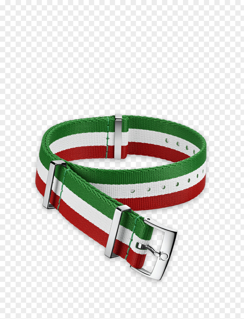 Watch NATO Omega SA Strap PNG