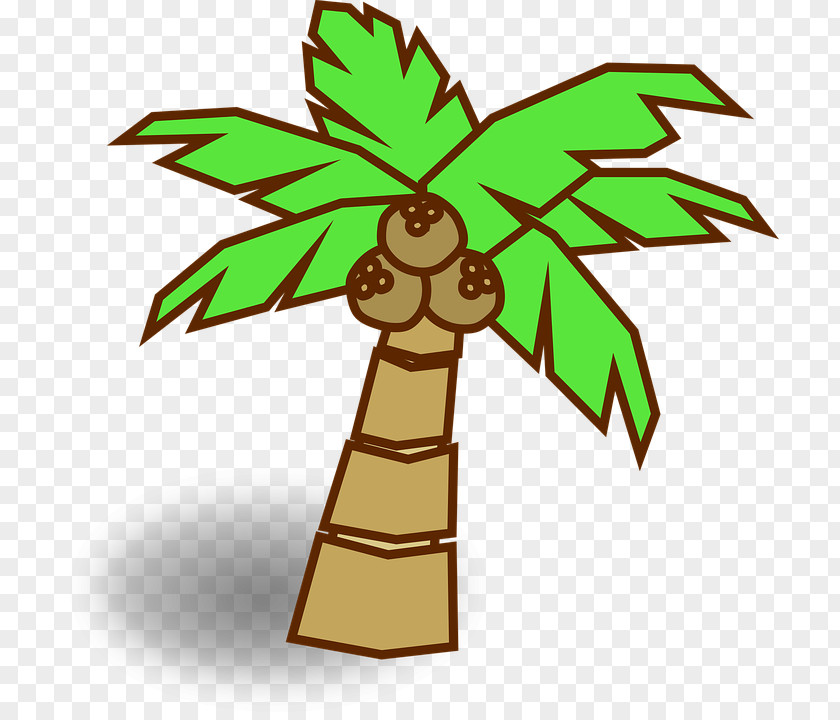 Coconut Arecaceae Tree Drawing PNG