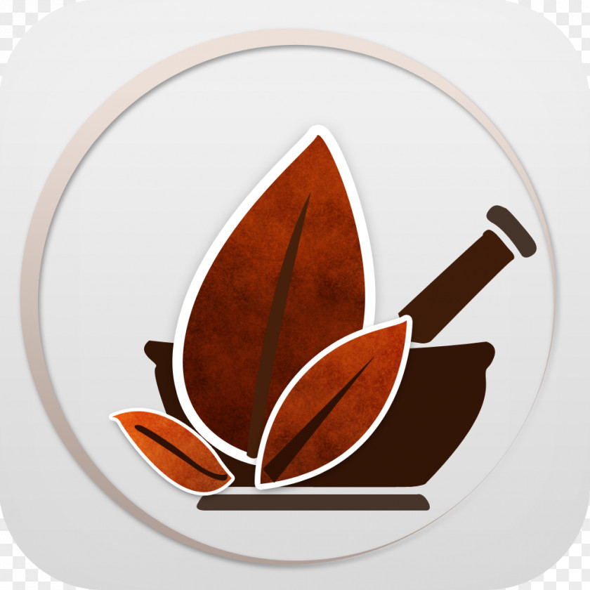 Design Coffee Cup PNG