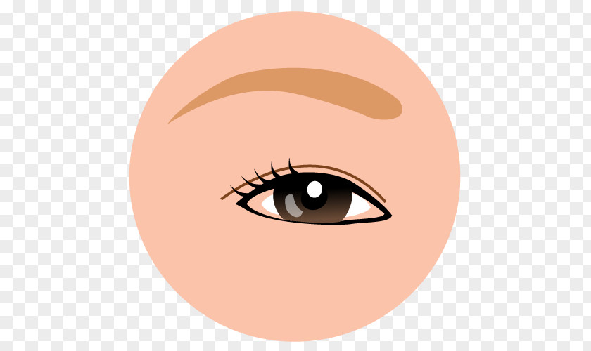 Eye Eyelid Glue Ptosis 美容外科学 PNG