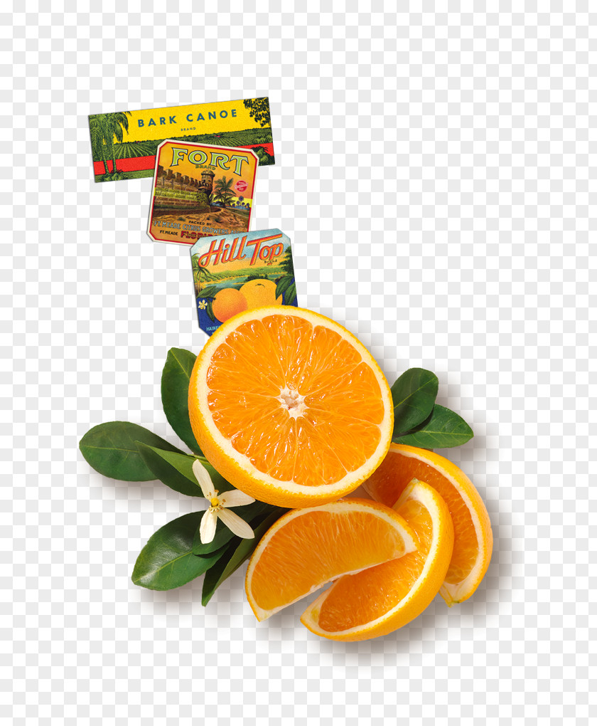 Florid Orange Juice Florida's Natural Growers Minute Maid PNG