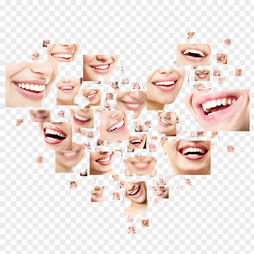 Health Dentistry Human Tooth Smile PNG