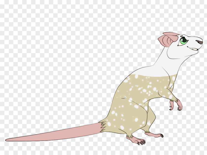 Rat & Mouse Rodent Reptile Dog Mammal PNG