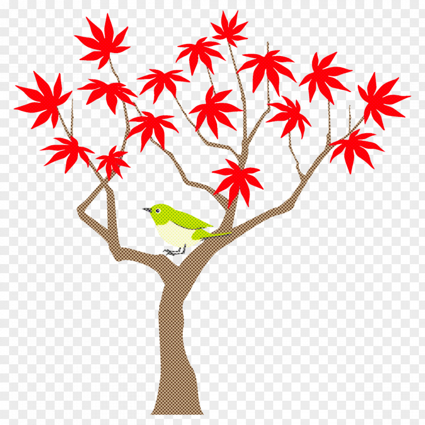 Autumn Maple Tree PNG