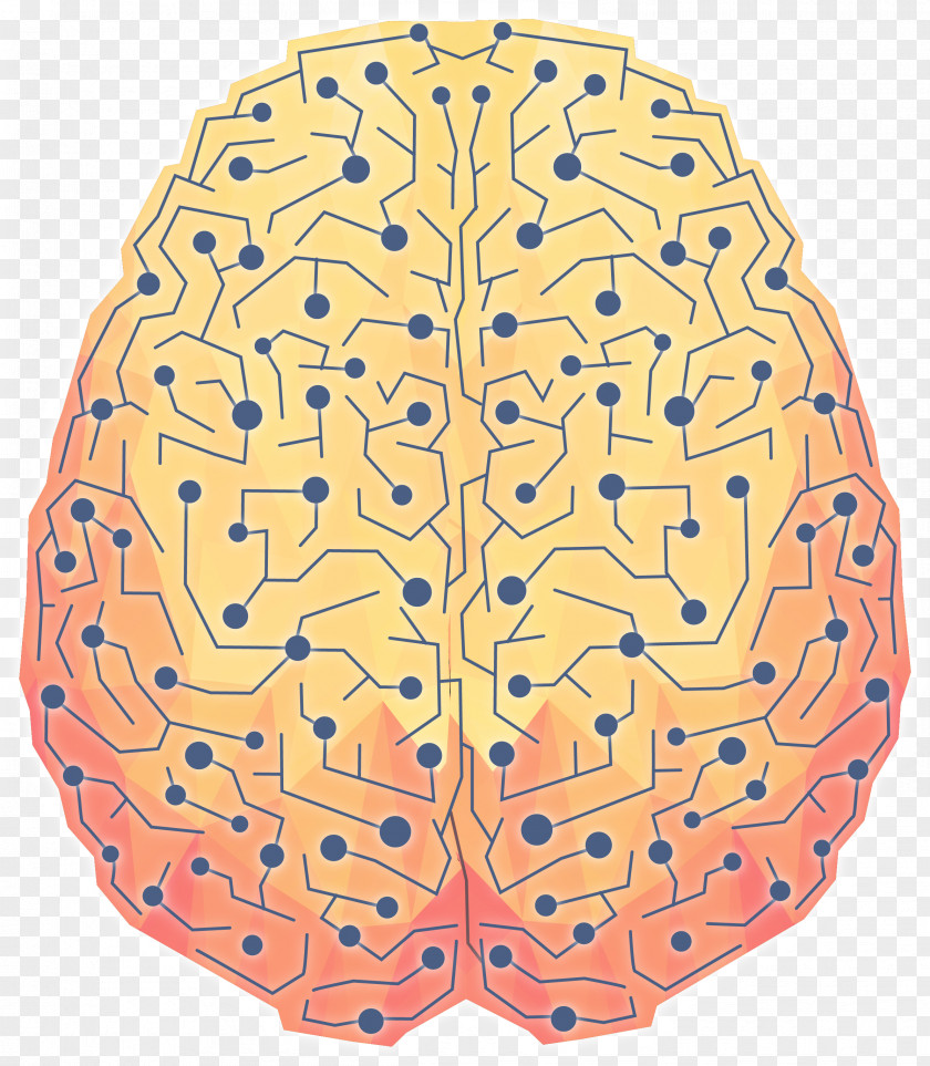 Brain Circuit Medical Psychology Euclidean Vector Intelligence Knowledge PNG