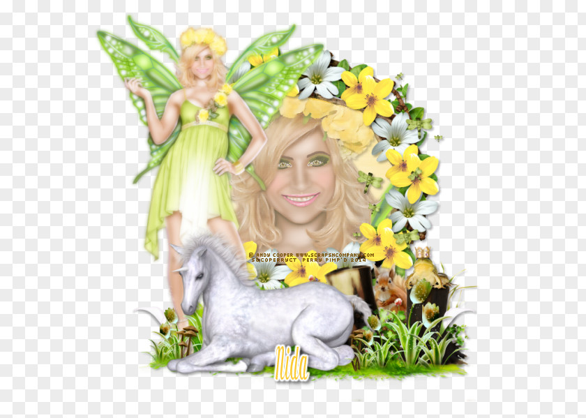 Fairy Photomontage Flowering Plant Angel M PNG