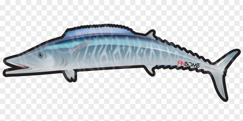 Fish Marine Mammal Sticker Color PNG