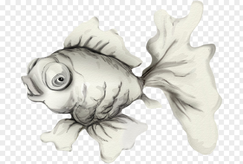 Fish PNG