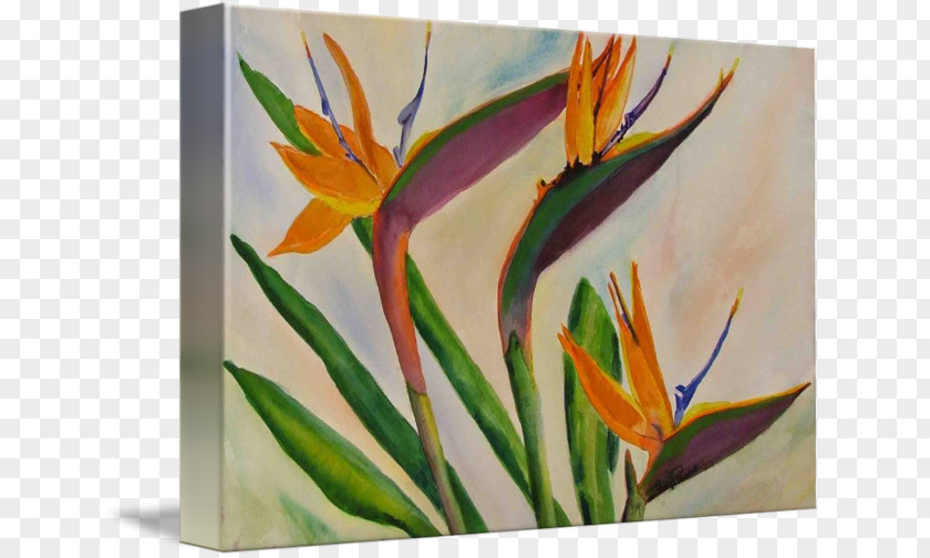 Flower Acrylic Paint Watercolor Painting Modern Art Still Life PNG