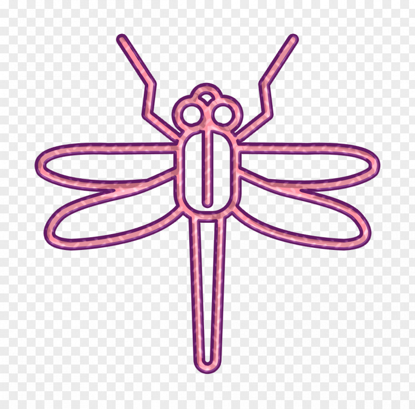 Insect Icon Dragonfly Insects PNG