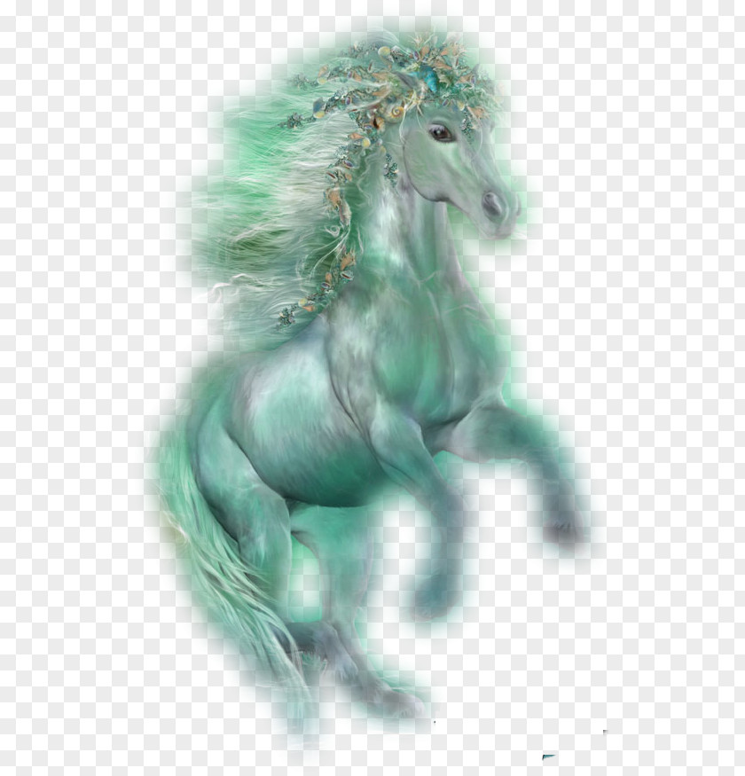Unicorn Het Orakel Van De Eenhoorns: Boek En Kaartenset Oracle Mustang Stallion PNG
