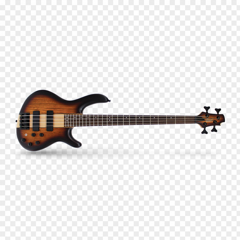 Bass Guitar Amplifier Cort Guitars Double PNG