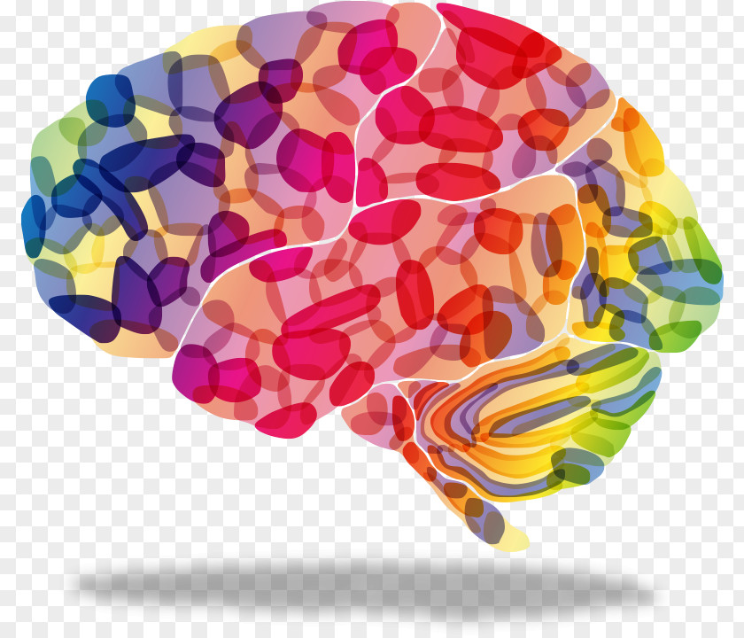 Cognitive Disorder Eating Brain Cartoon PNG