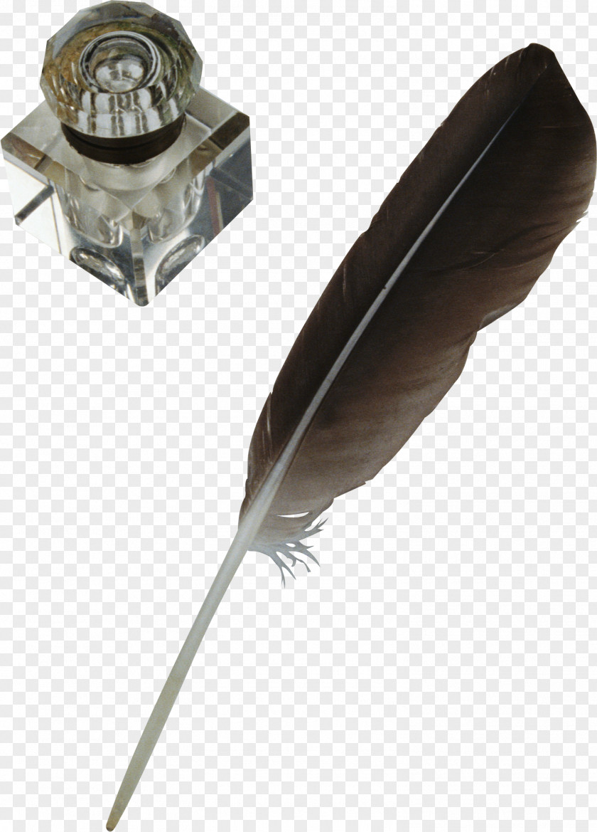 Feather Paper Ink Pen Quill PNG