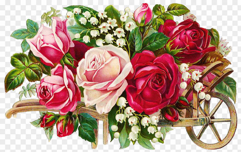 Flower Illustration Of The Fields Birthday Bouquet Party PNG