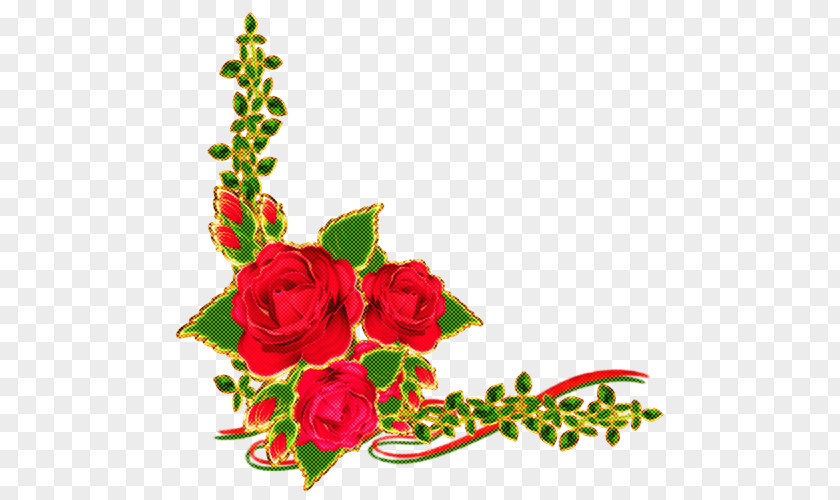 Garden Roses PNG