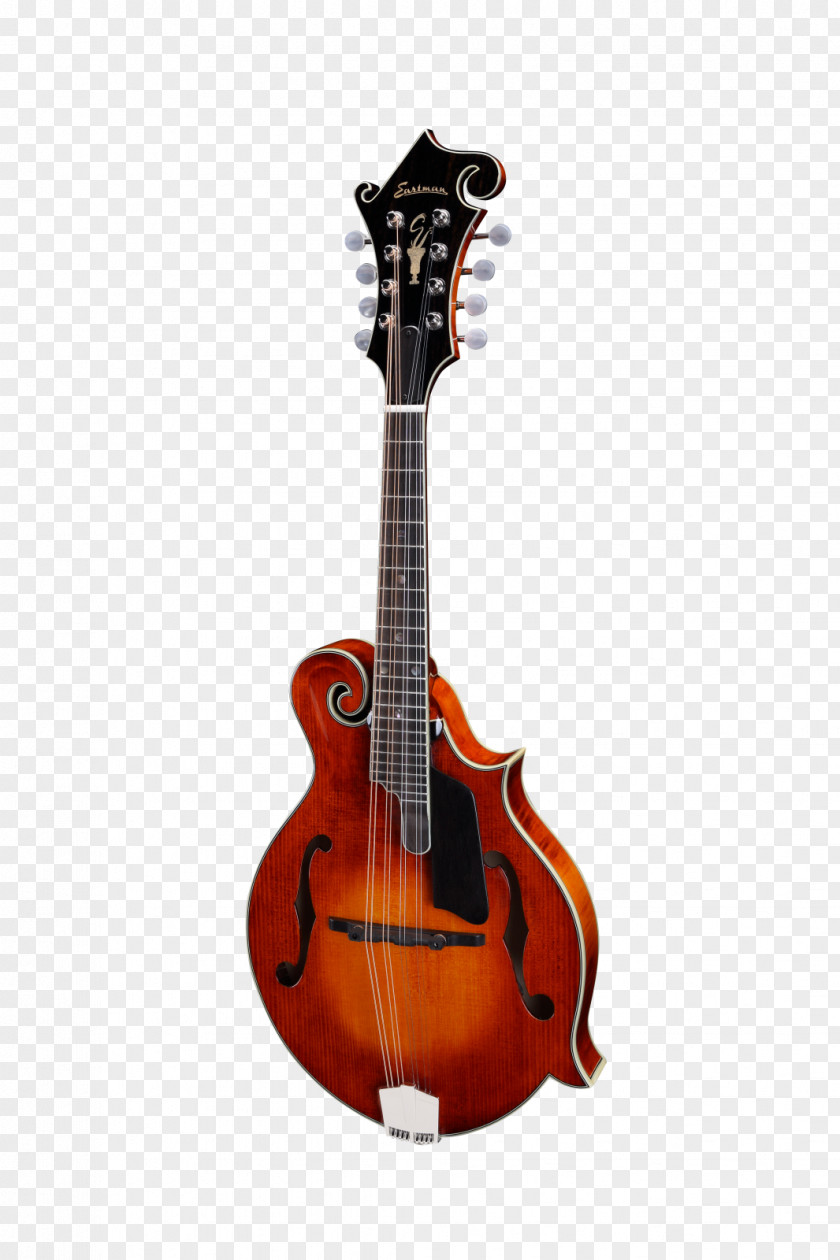 Musical Instruments Mandolin Guitar Harmonica Fingerboard PNG