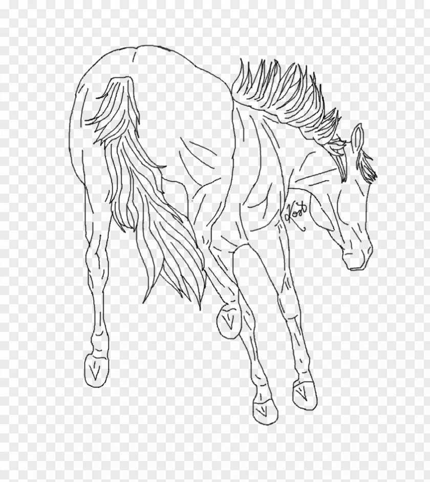 Mustang Drawing Line Art Pack Animal Sketch PNG