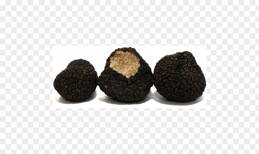 Périgord Black Truffle Tuber Aestivum Buddha's Hand Edible Mushroom PNG