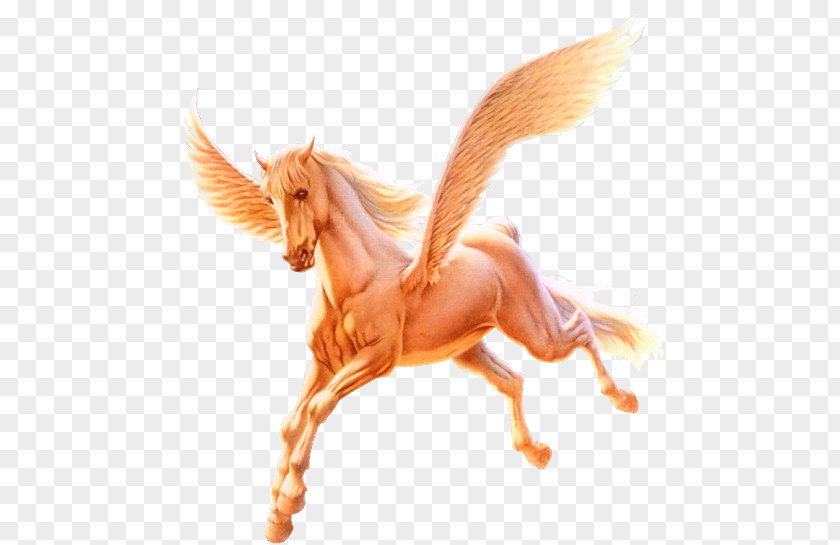 Pegasus Horse Unicorn PNG