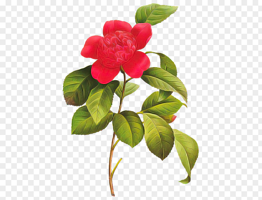 Artificial Flower PNG