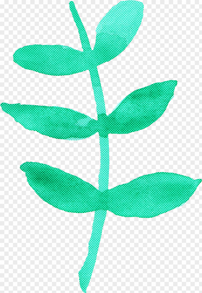 Leaf Green Plant Stem Flower PNG