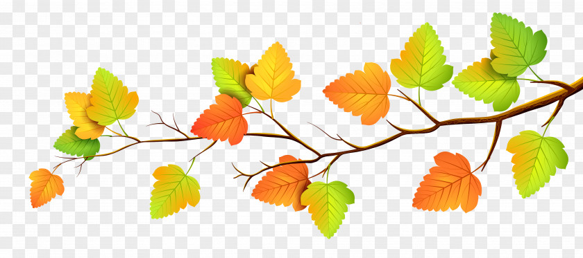 Leaves Heart Clip Art Vector Graphics Image Autumn PNG