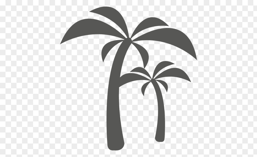 Leaves Palm Arecaceae Tree Clip Art PNG