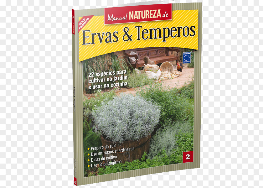 Plant Condiment Herbaceous Fines Herbes Cumin Jardim De Ervas PNG