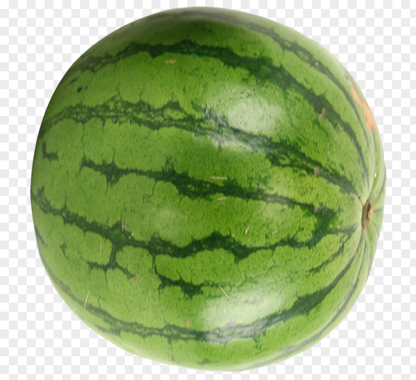 Watermelon Image Clip Art Drawing PNG