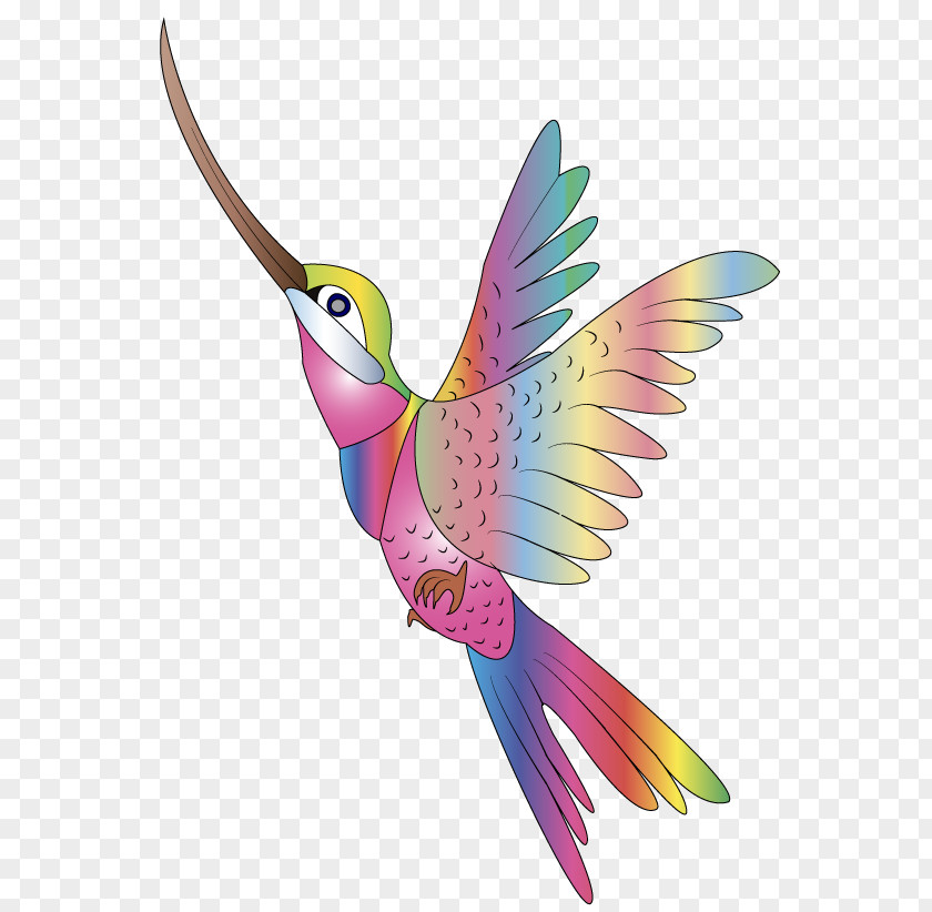 Bird Hummingbird Clip Art Openclipart Vector Graphics Image PNG