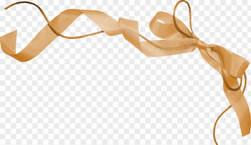 Bow Gift Shoelace Knot Ribbon PNG