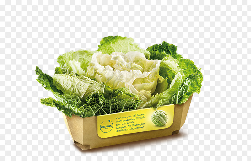 Broccoli Romaine Lettuce Savoy Cabbage Vegetarian Cuisine Spring Greens PNG