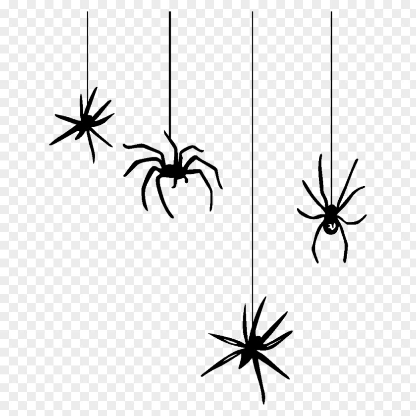 Spider Web Halloween Clip Art PNG