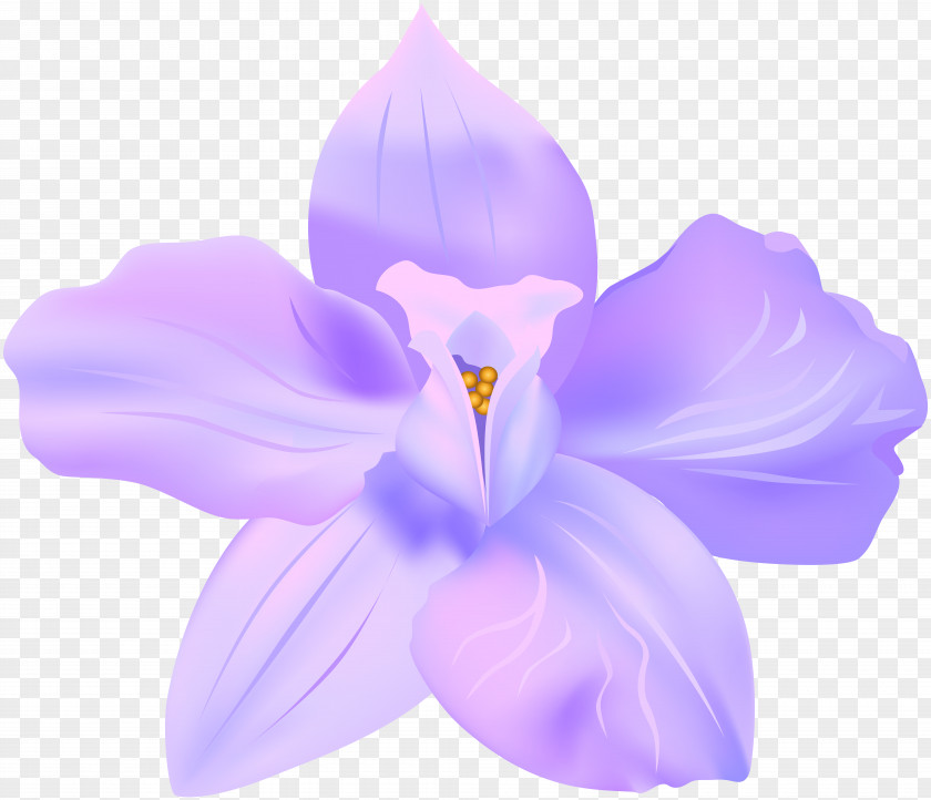 Sweet Violet Clip Art PNG