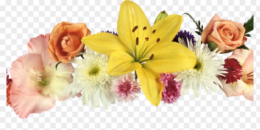 Brahma Kumaris Floral Design Flower Clip Art Photography PNG