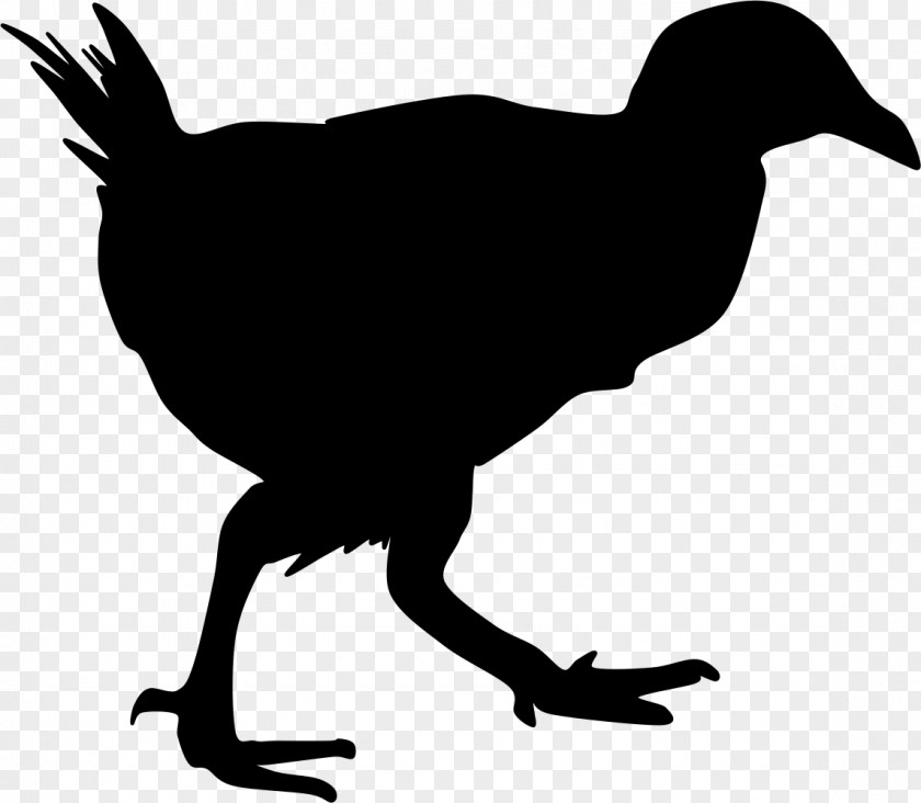 Common Starling Bird Weka Silhouette Australasian Swamphen Clip Art PNG