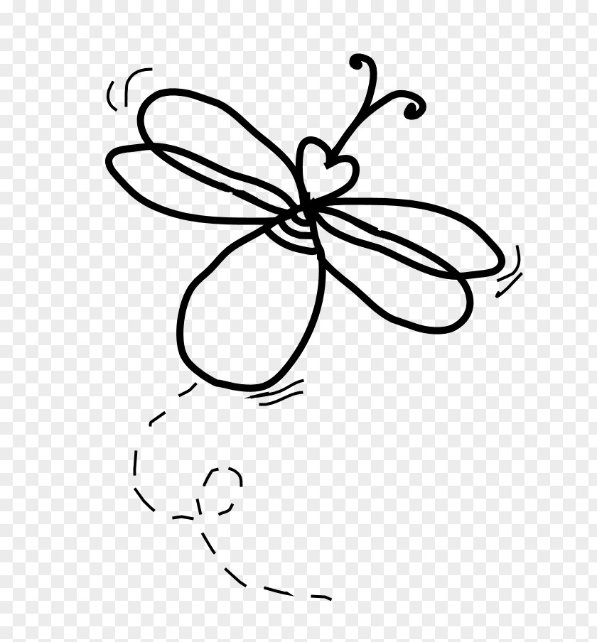 Firefly Line Art Black And White Drawing Clip PNG