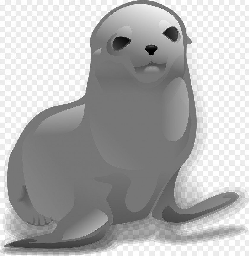 Harbor Seal Clip Art PNG