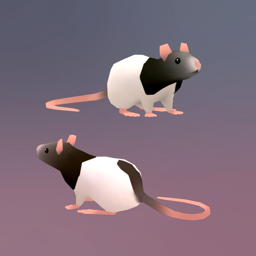 Rat & Mouse Rodent Animation PNG