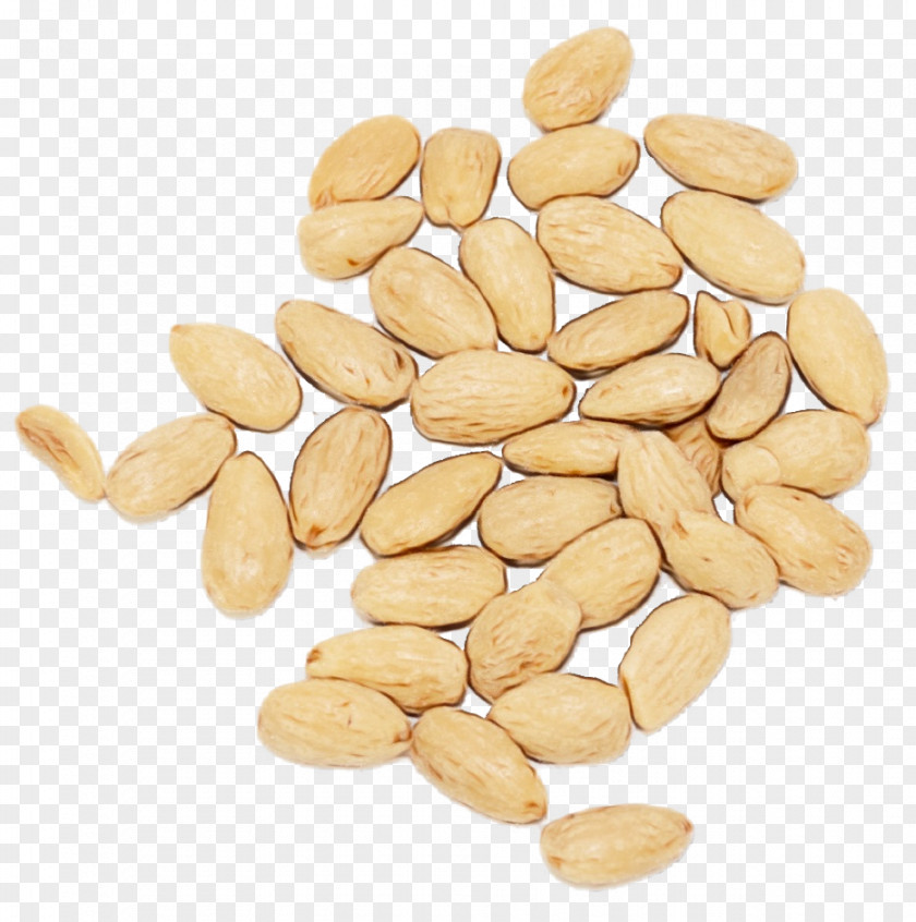 Vegetarian Cuisine Peanut Nut Superfood Commodity PNG